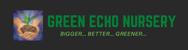 Green Echo Nursery Logo